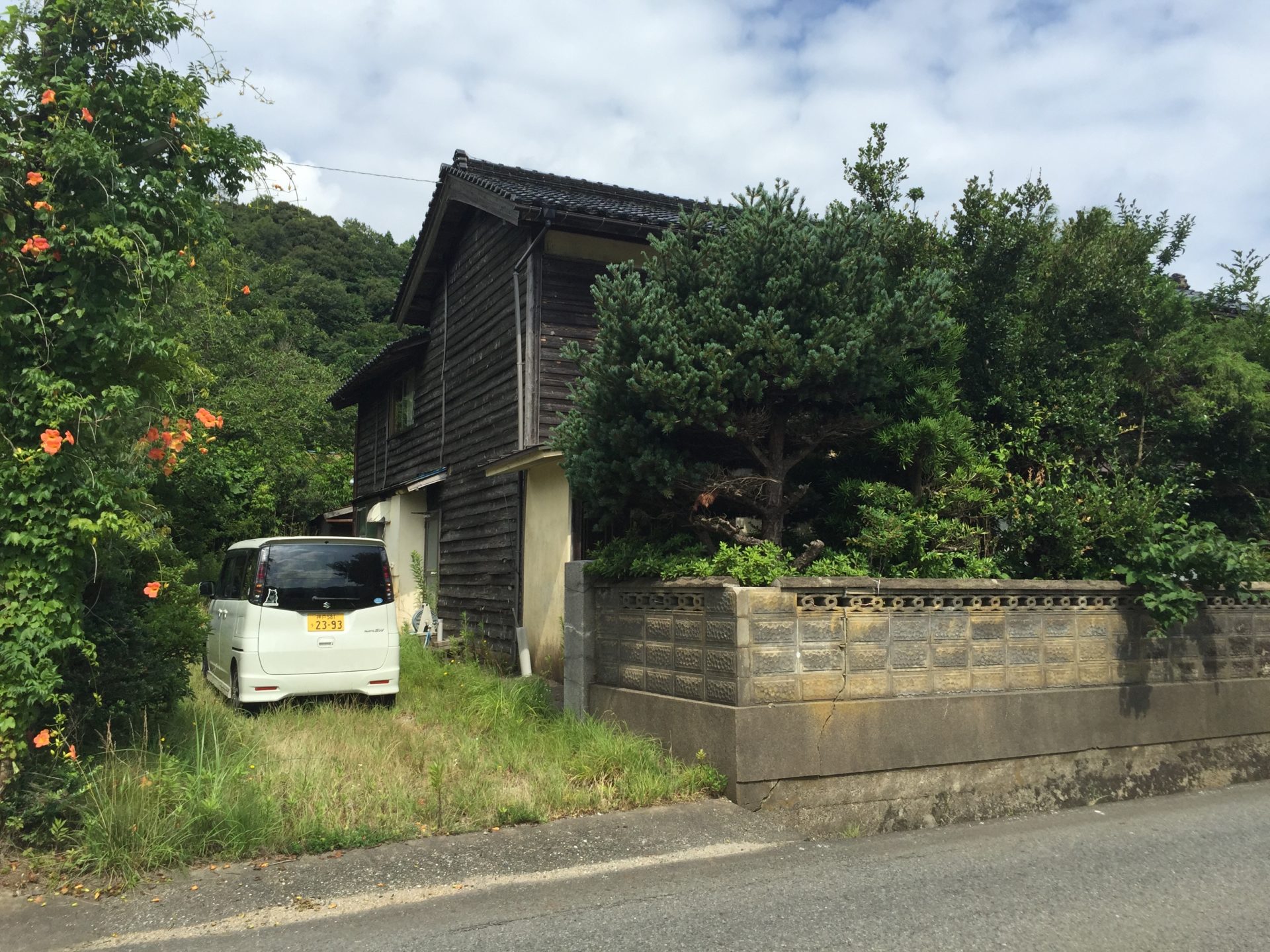 購入時の外観(ジャングル)